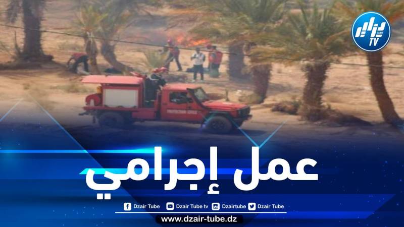 إتلاف 250 نخلة بورقلة… والمصالح الأمنية توقف الفاعلين