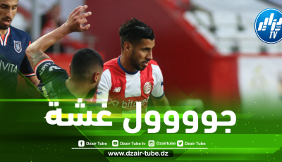 بالــفيديو…شاهد هدف حسام غشة في مرمى بوخوم الألــماني