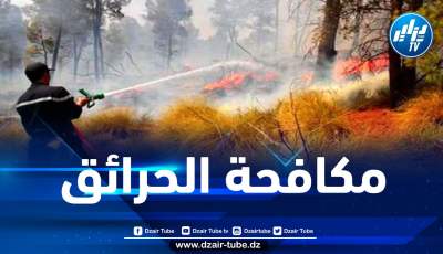 ميلة: توقيف 4 أشخاص بتهمة الحرق العمدي لغابة مشيرة