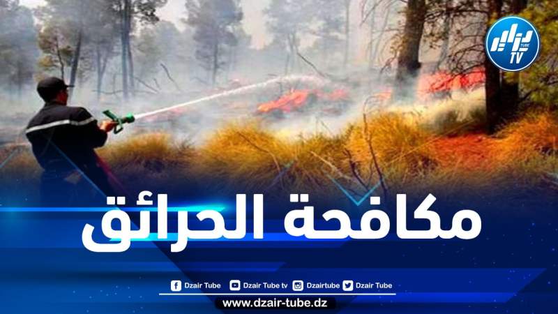 ميلة: توقيف 4 أشخاص بتهمة الحرق العمدي لغابة مشيرة