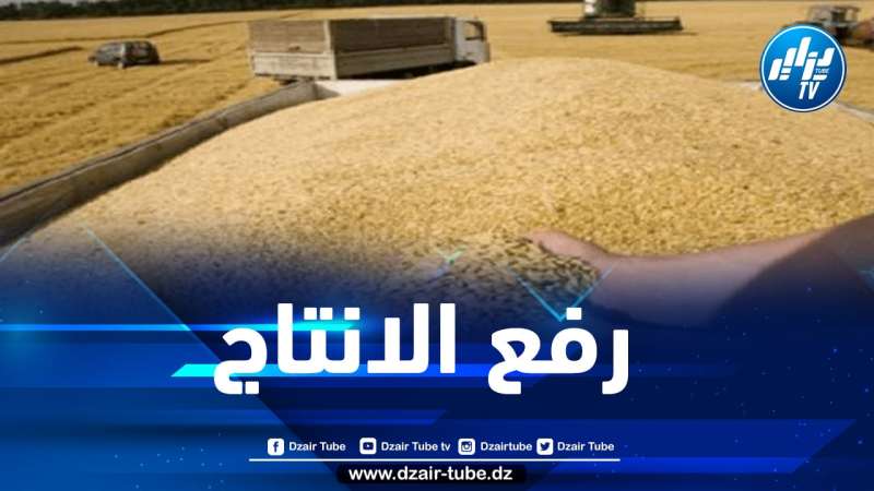 منظمة الفاو ترفع توقعاتها للإنتاج العالمي من الحبوب في 2022