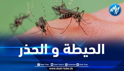 وزارة الصحة تحذّر من بعوضة النمر