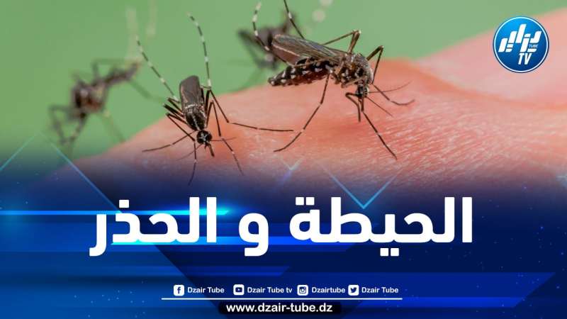 وزارة الصحة تحذّر من بعوضة النمر