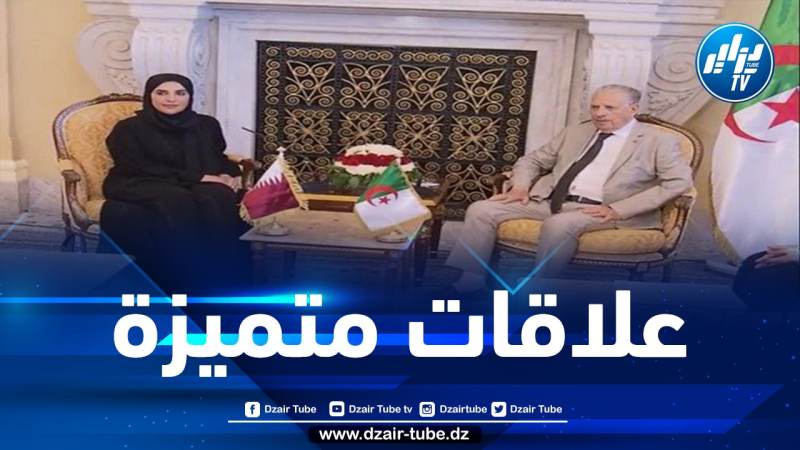 قوجيل يستقبل رئيسة اللجنة الوطنية لحقوق الإنسان لدولة قطر