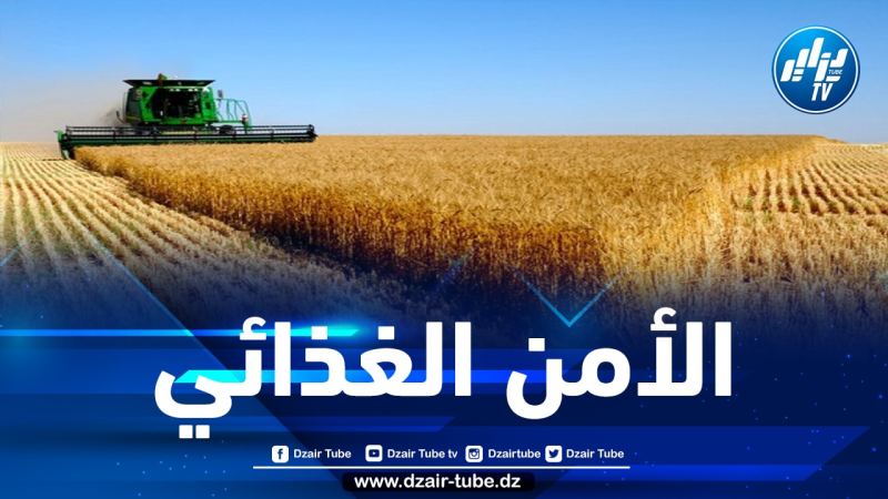 الوزارة الوصية بصدد استكمال مخطط جديد لتطوير الإنتاج الفلاحي بهدف تحقيق الاكتفاء الذاتي