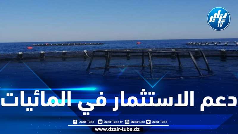 استزراع مليون ونصف من صغار السمك في مستثمرتين لتربية المائيات في البحر بولاية بومرداس