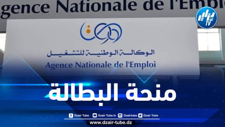 بعد إجراء التعديلات… هذا هو جديد منحة البطالة