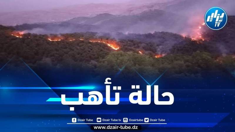 وزارة الفلاحة تعلن حالة التأهب القصوى