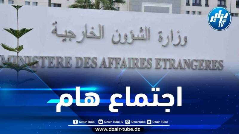 الجزائر تشارك في اجتماع المجلس التنفيذي للاتحاد الإفريقي بزامبيا