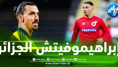 الجزائري السويدي عبدالرحمن سعيدي : زلاتان شجعني على العمل أكثر…وتمثيل الخضر هدف رئيسي في مسيرتي