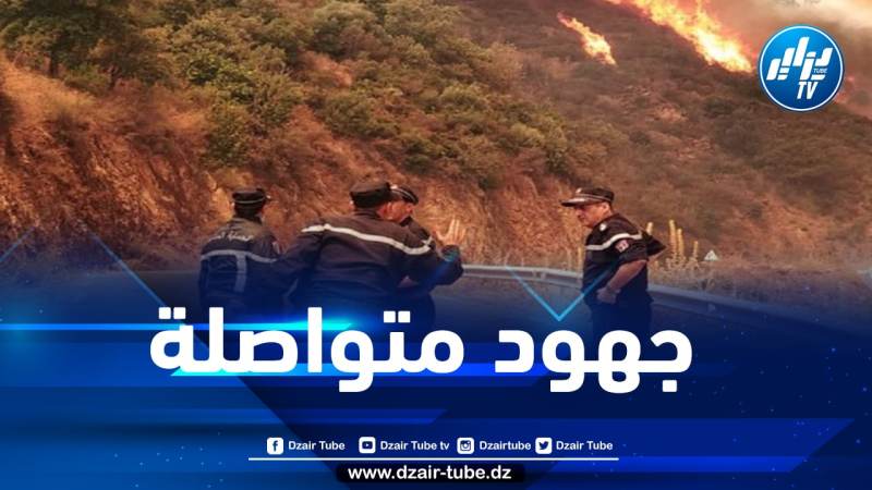 الحماية المدنية: اندلاع 07 حرائق بالطارف وسكيكدة