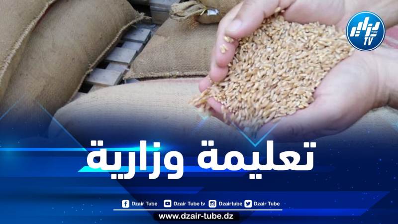 وزارة الفلاحة تدعو منتجي الحبوب إلى تسليم محصولهم إلى التعاونيات