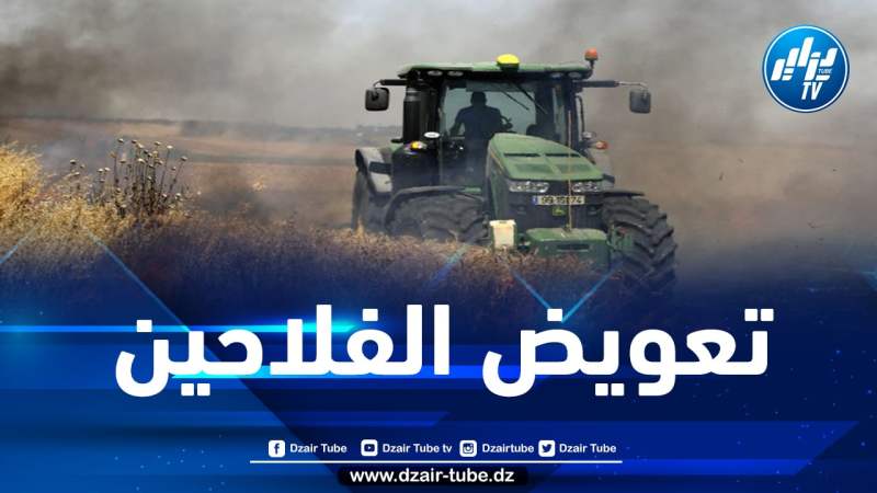 تعويض الفلاحين المتضررين من الحرائق بقالمة قريبا