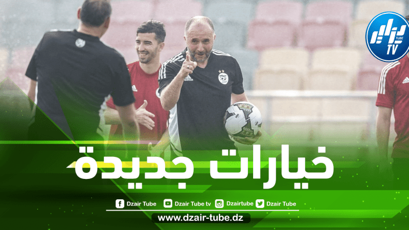 من الملاعب الفرنسية…ثنائي جزائري جديد على رادار بلماضي !!