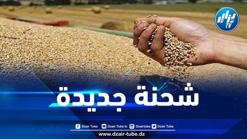 الجزائر تشتري القمح من مناقصة دولية