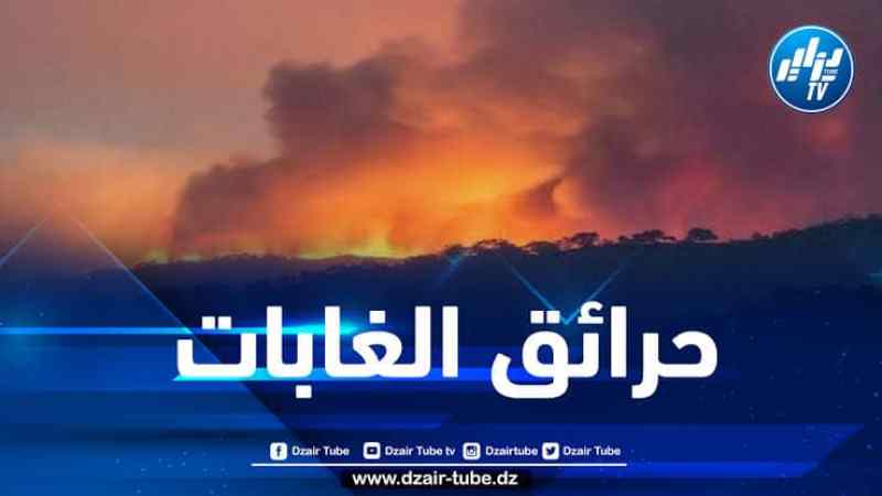 الحماية المدنية: اندلاع 39 حريقا عبر 14 ولاية