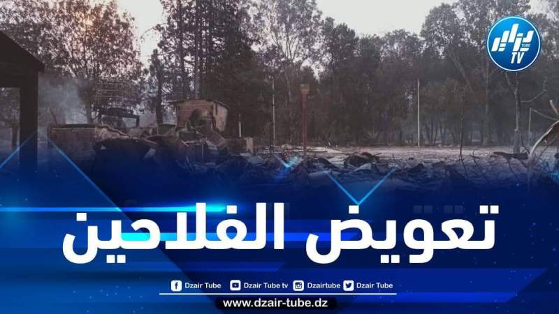 الشروع في تعويض الفلاحين المتضررين من الحرائق بعد وصول تقارير اللجان الولائية