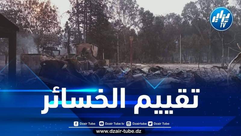 الطارف: تنصيب لجنة ولائية لإحصاء خسائر الحرائق