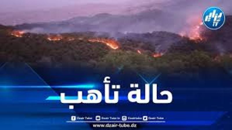 وزارة الفلاحة: استمرار حالة التأهب القصوى