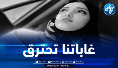 غاباتنا تحترق/ بقلم هاجر ميموني