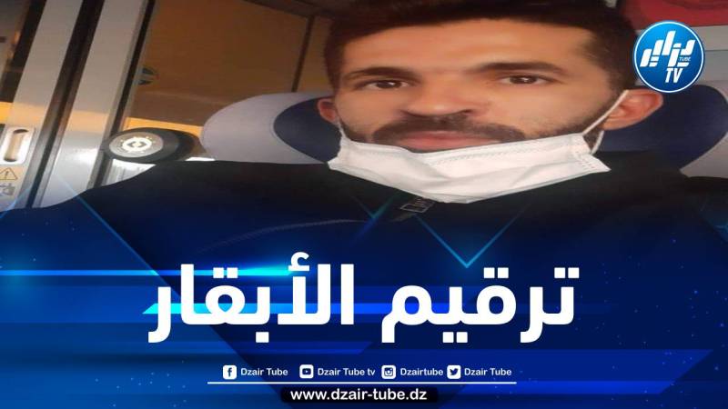 لمعرفة القدرات الانتاجية للبلاد… طبيب بيطري يدعو إلى ترقيم الأبقار