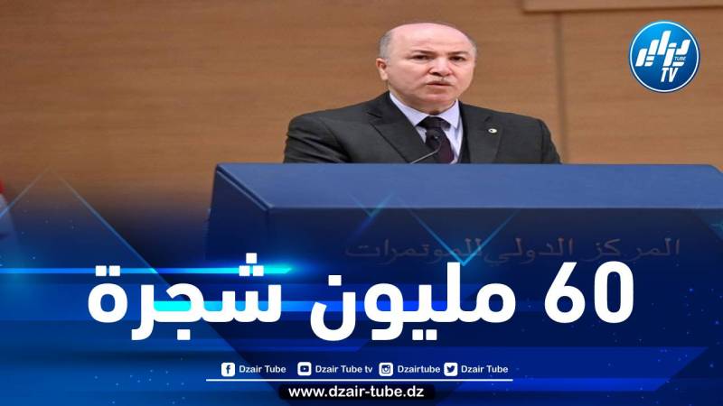 نحو غرس 60 مليون شجرة لاستعادة السد الأخضر