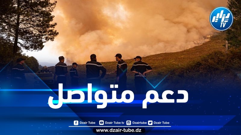 بعد مأساة الحرائق…رئيس الجمهورية يمنح مليون دينار لعائلات الضحايا
