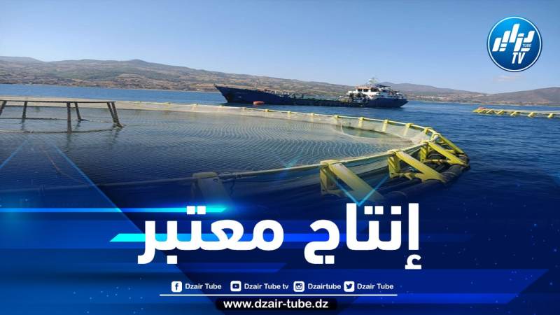 استزراع 900 ألف وحدة من صغار سمك القاجوج الملكي بواد قوسين ولاية شلف