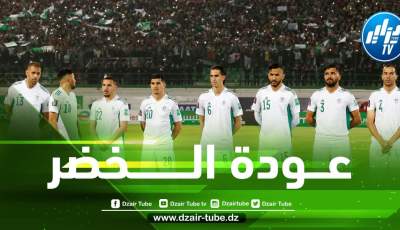 4 مكاسب كبيرة تنتظر الخضر في حال الفوز على نيجيريا