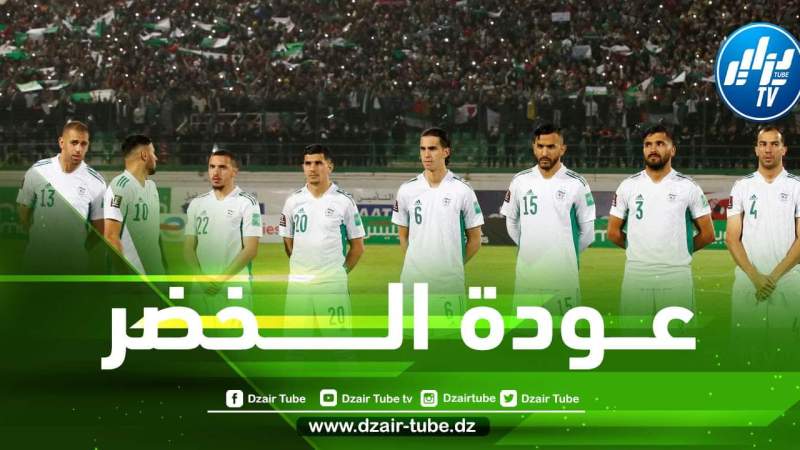 4 مكاسب كبيرة تنتظر الخضر في حال الفوز على نيجيريا