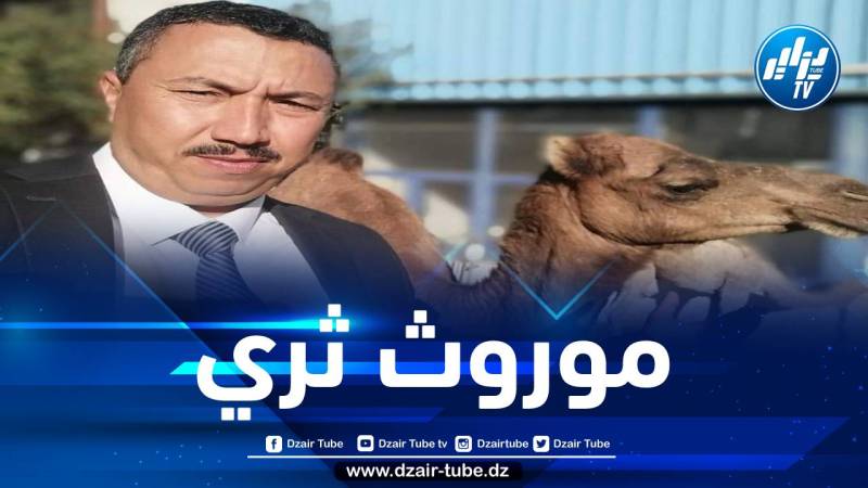 في تصريح لدزاير توب… رئيس المجلس الوطني المهني المشترك لشعبة الإبل يتطرق إلى واقع الشعبة وهذا ما طالب به