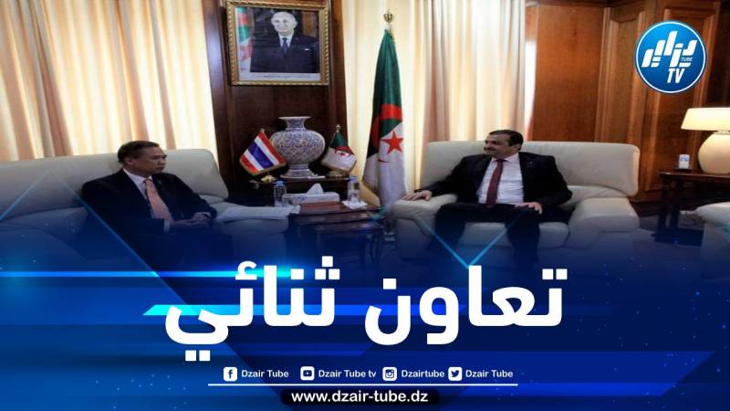 وزير الطاقة والمناجم يستقبل نائب وزير الخارجية التايلاندي