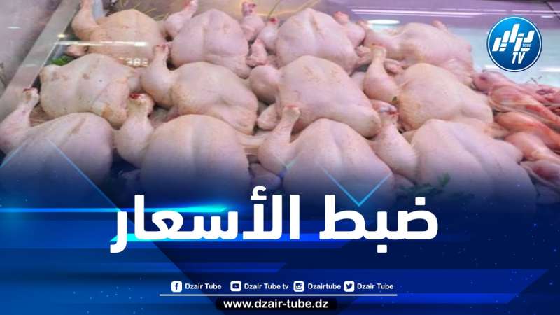 وزير الفلاحة يوضح بخصوص أسعار اللحوم البيضاء