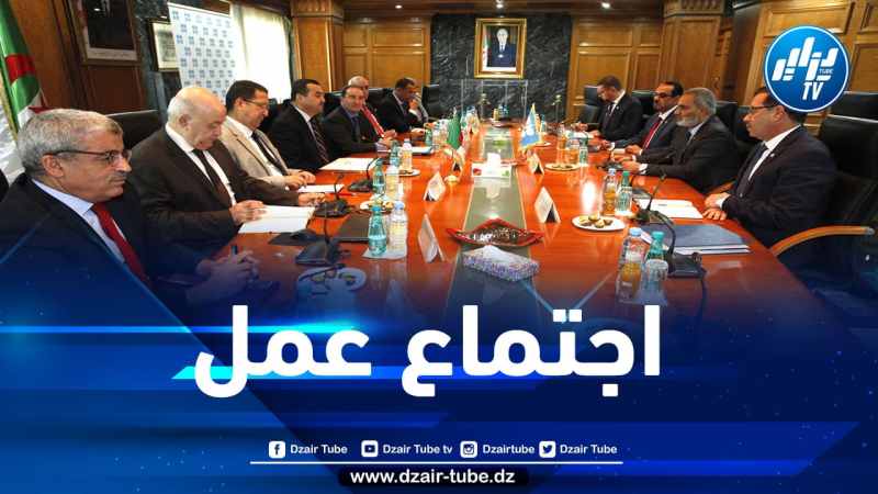 اجتماع عمل وتشاور بين وزير الطاقة والأمين العام لمنظمة “أوبك”