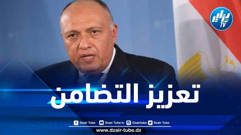 هذا ما قاله وزير الخارجية المصري عن أهمية القمة العربية المقبلة بالجزائر