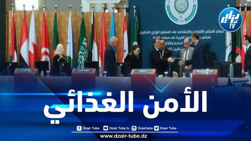 المجلس الاجتماعي والاقتصادي يرفع 24 توصية اقتصادية لاجتماع القمة العربية