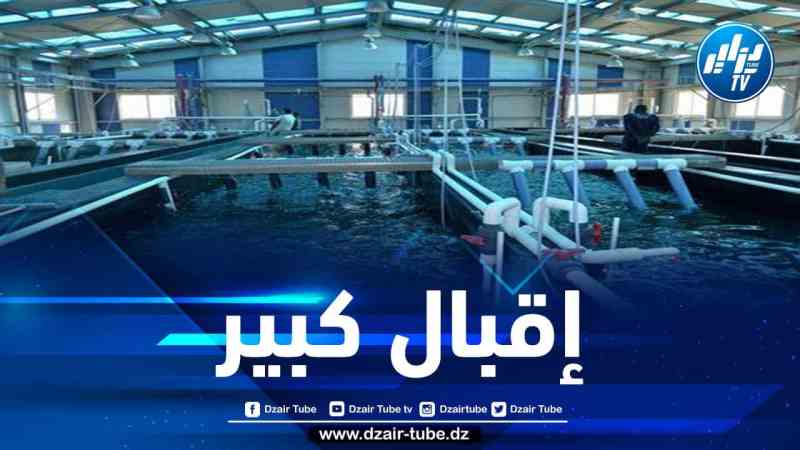 إنشاء عشرات التعاونيات في مجالات قطاع الصيد البحري ووتربية المائيات