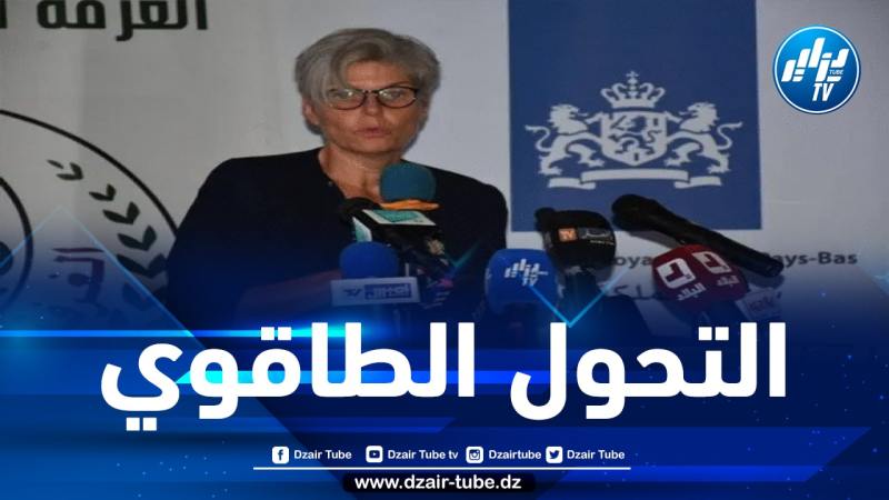 هولندا مهتمة بالتعاون مع الجزائر في مجال الهيدروجين الأخضر