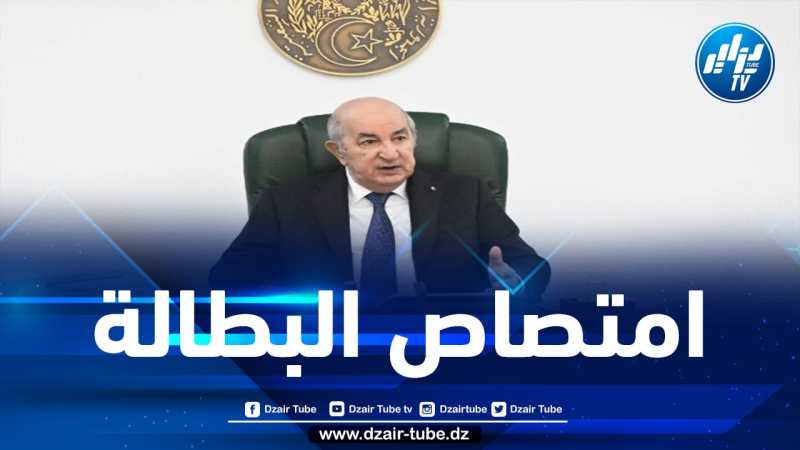 الرئيس تبون: العبرة ليست بكثرة استحداث المناطق الصناعية بل بجدواها الاقتصادية