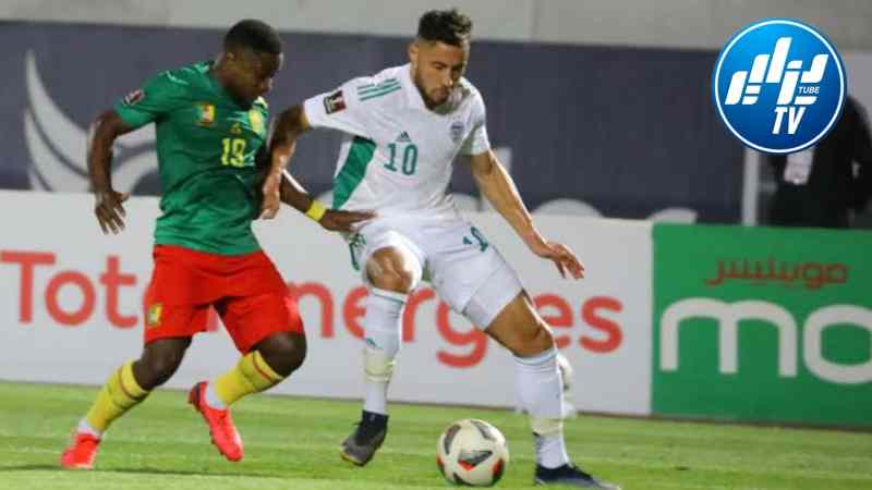 رسمـــيا…المنتخب الجزائري يتقدم على الكاميرون