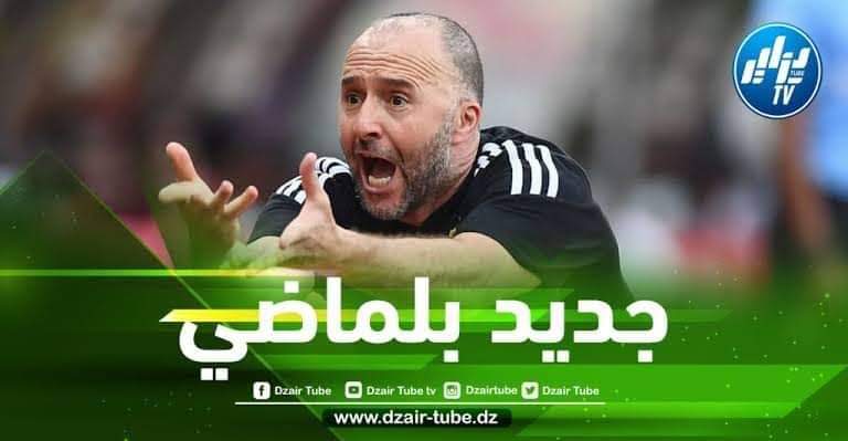 “جديد بلماضي” على رادار أرسنال