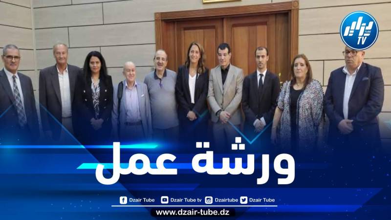 سليم لباطشة يشرف على أشغال ورشة عمل تقنية ثلاثية الأطراف