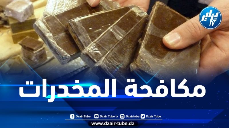 في عمليتين نوعيتين… ضبط قرابة 50 كيلوغرام من الكيف المعالج بتيبازة
