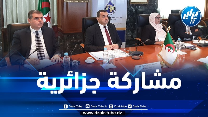 عرقاب يشارك في اجتماع مجلس الدول الإفريقية المنتجة للنفط