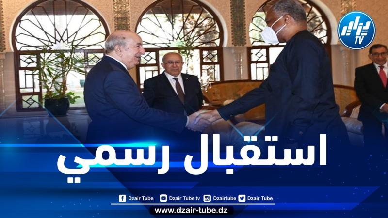 رئيس الجمهورية يستقبل وزير خارجية نيجيريا