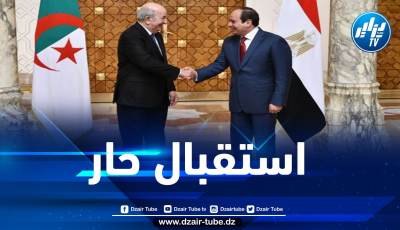 رئيس الجمهورية يستقبل نظيره المصري السيسي