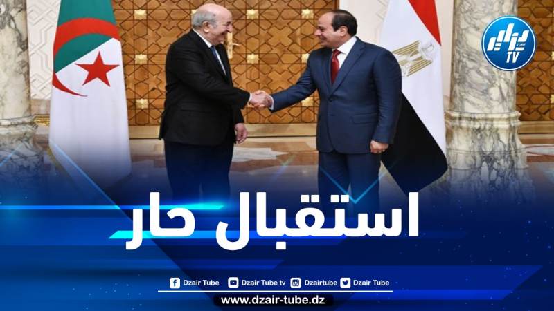 رئيس الجمهورية يستقبل نظيره المصري السيسي