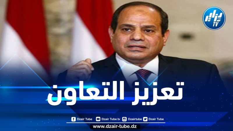 الرئاسة المصرية: مشاركة السيسي شخصيا في قمة الجزائر تهدف إلى تدعيم أواصر الأخوة