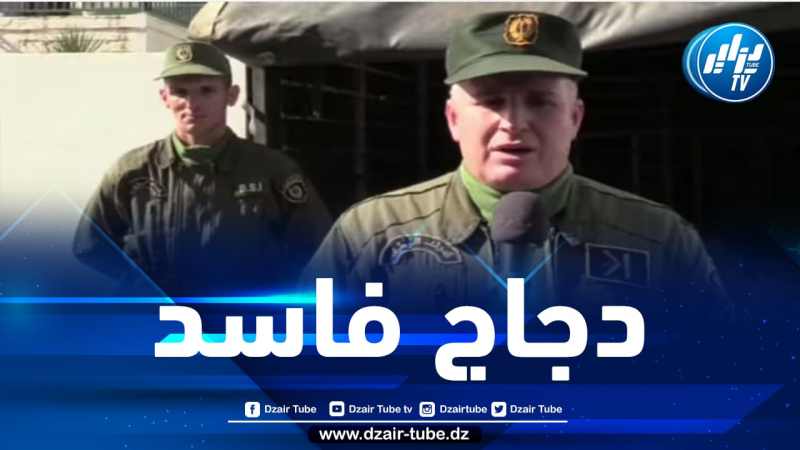شاهد كيف حجز.الدرك الوطني لبجاية  أزيد من 26 قنطار من الدجاج الفاسد غير صالح للإستهلاك البشري…