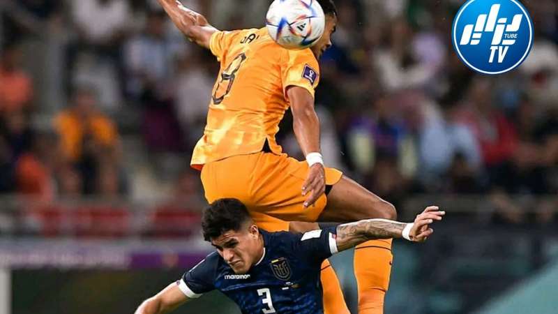 منتخب الإكوادور يتعادل أمام هولندا